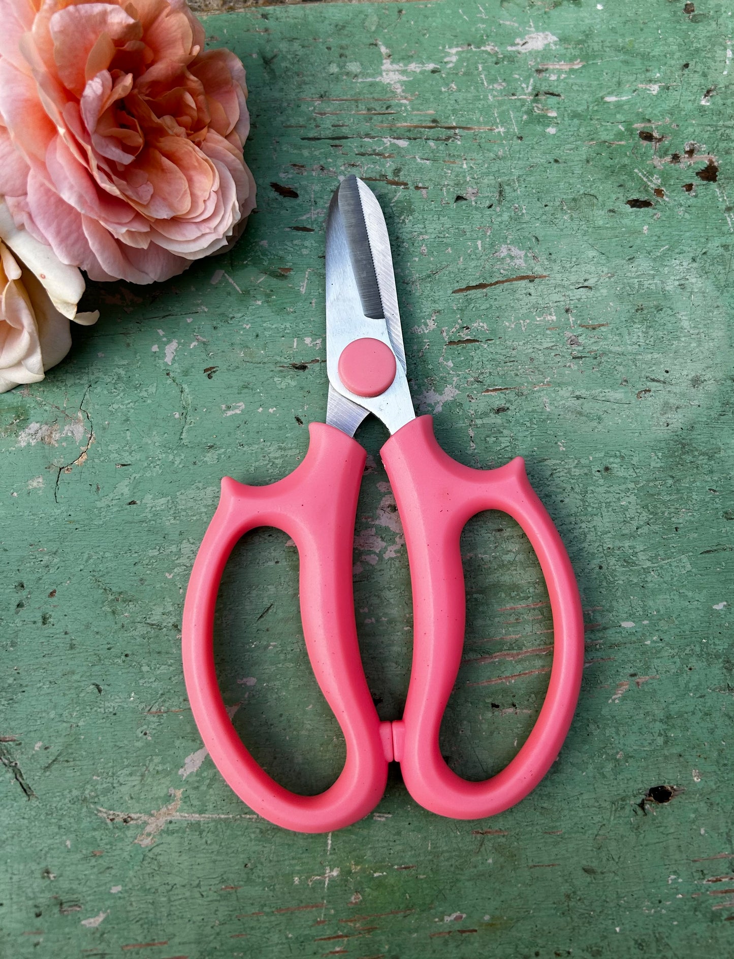 Florist scissors