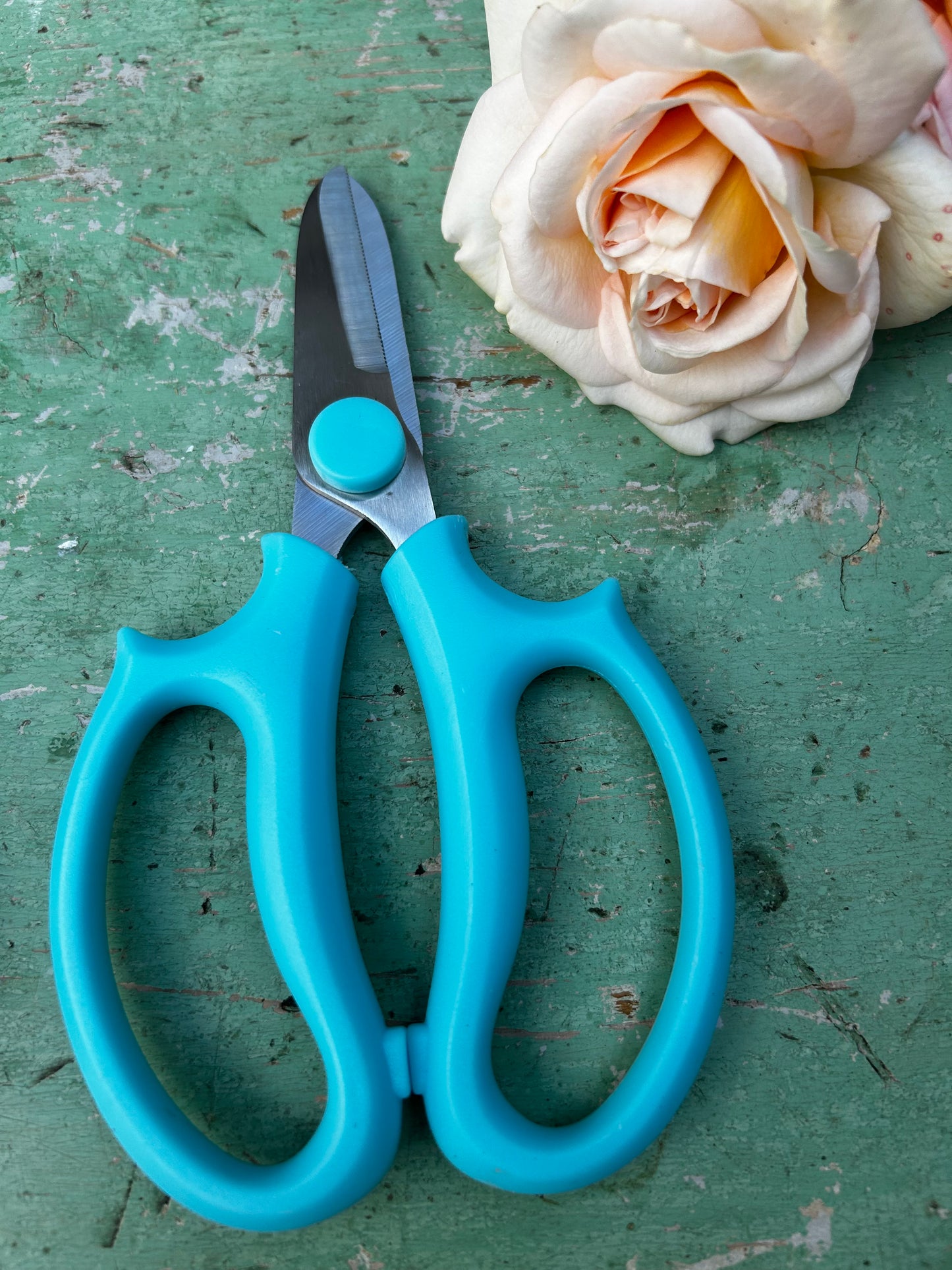 Florist scissors