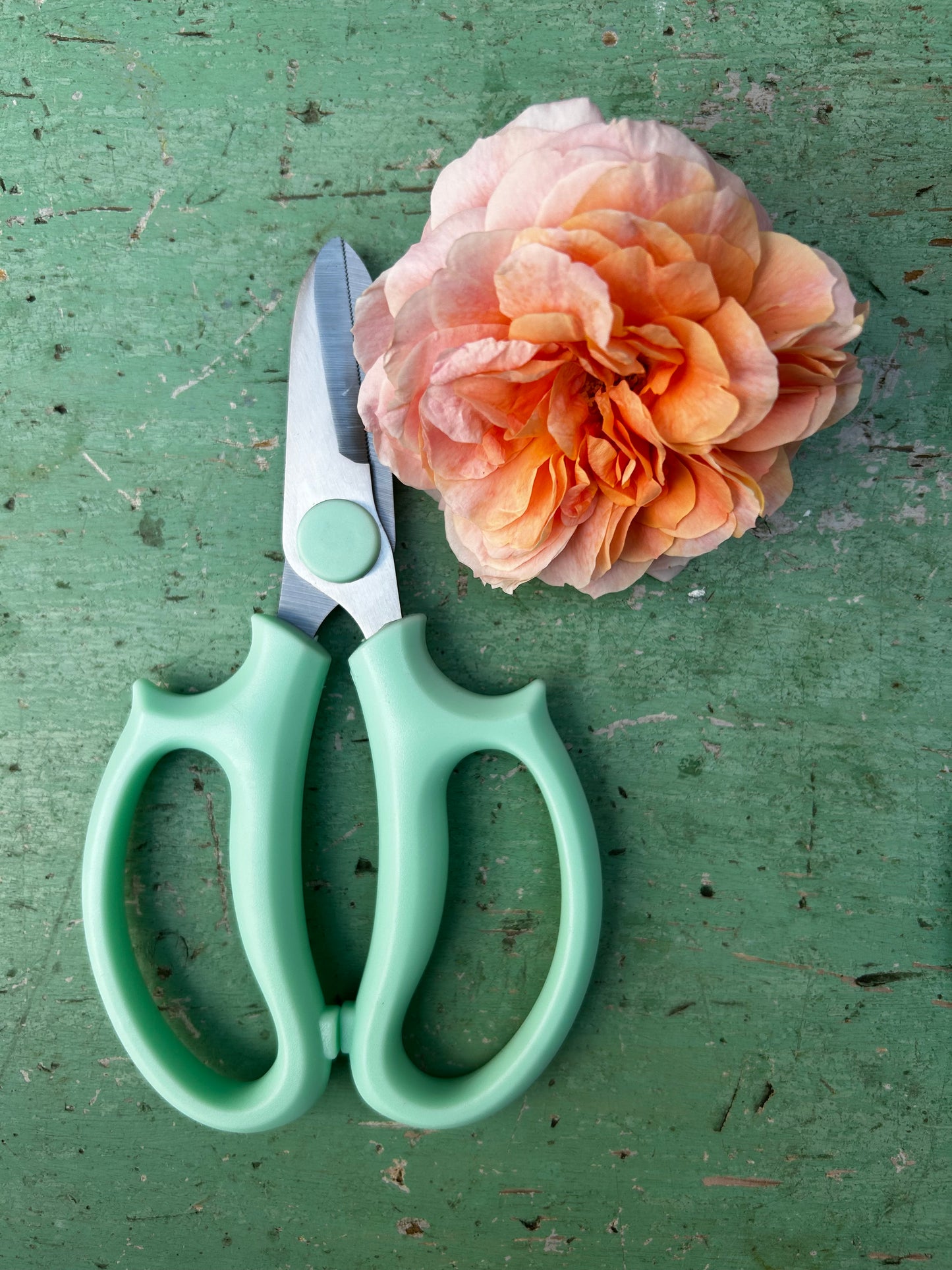 Florist scissors