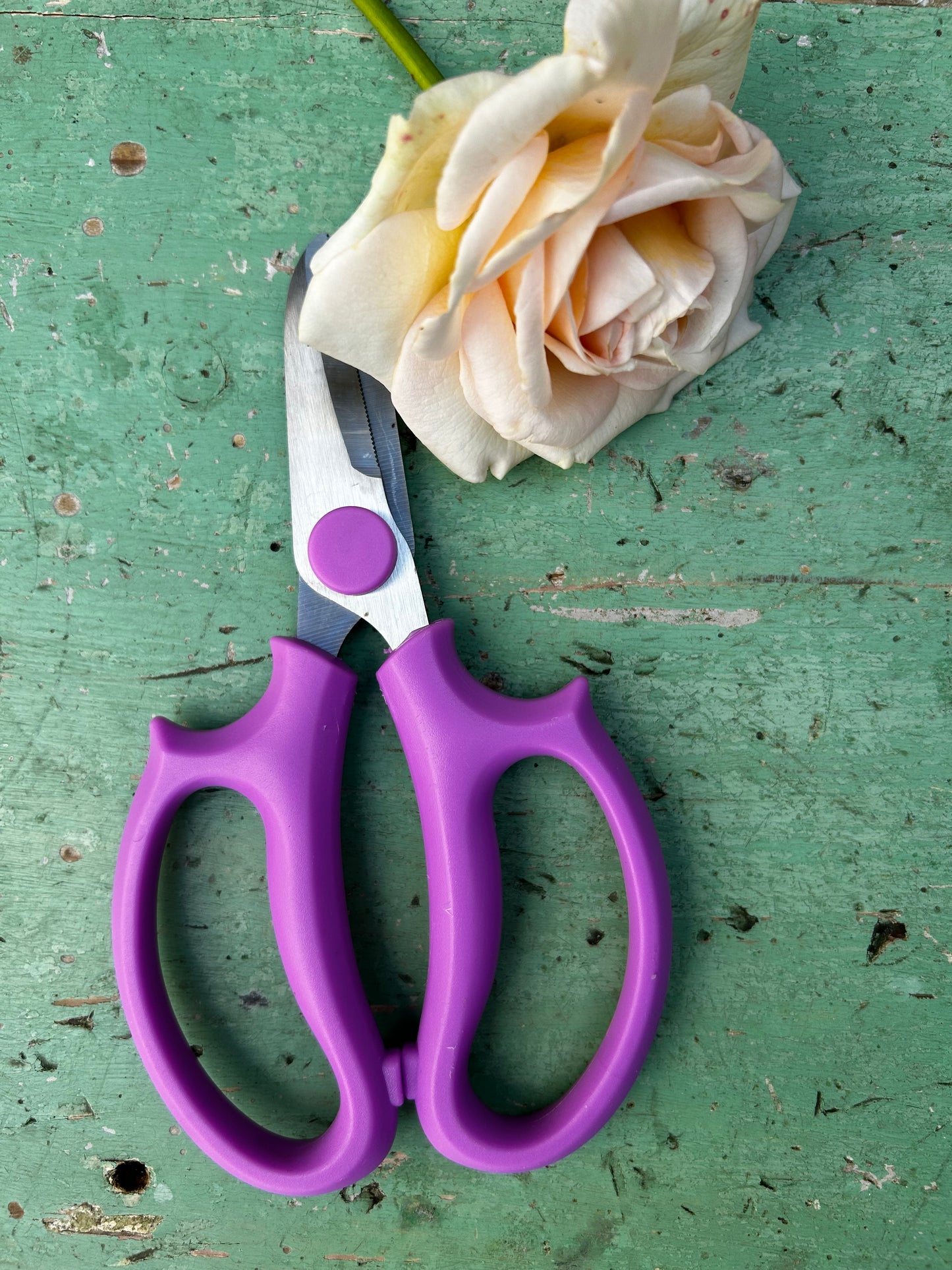 Florist scissors